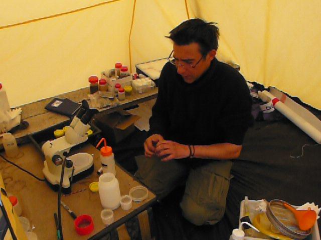 P1030218.JPG - ... de retour au laboratoire, les tubes sont étiquettés et les informations notées dans une base de données. Au total, 23 localités ont été échantillonnées et 84 prélèvements réalisés soit plus de 1000 spécimens capturés. De retour en france, ils seront envoyés à des chercheurs pour expertise.
