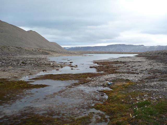 P1030973.JPG